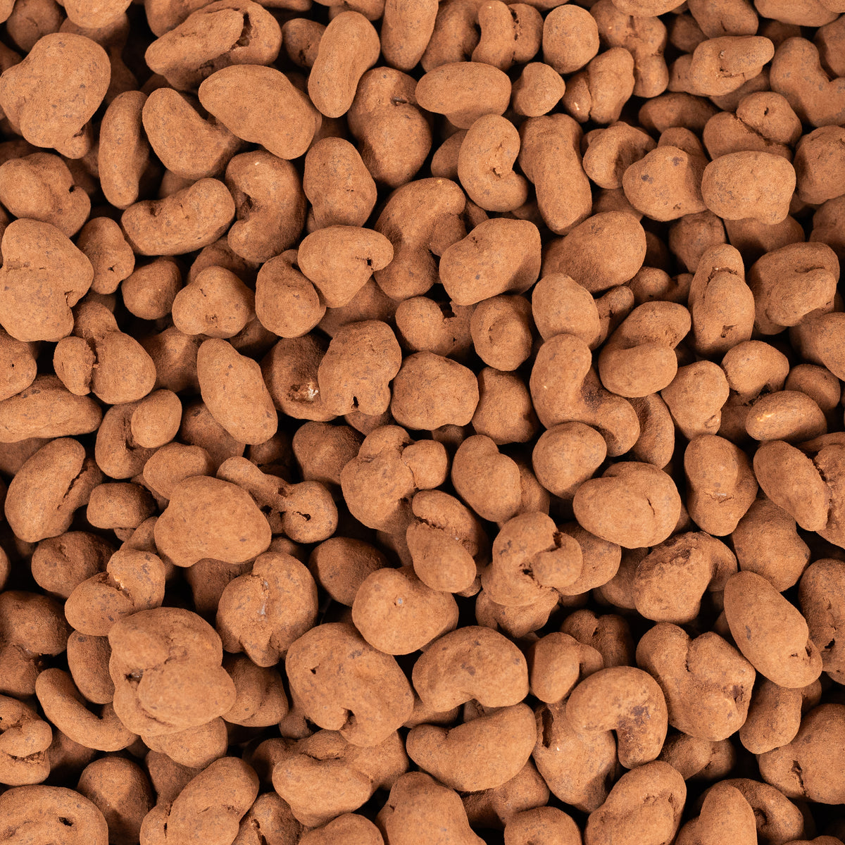 Roasted cashews coated with milk chocolate in cocoa powder - Fair trade